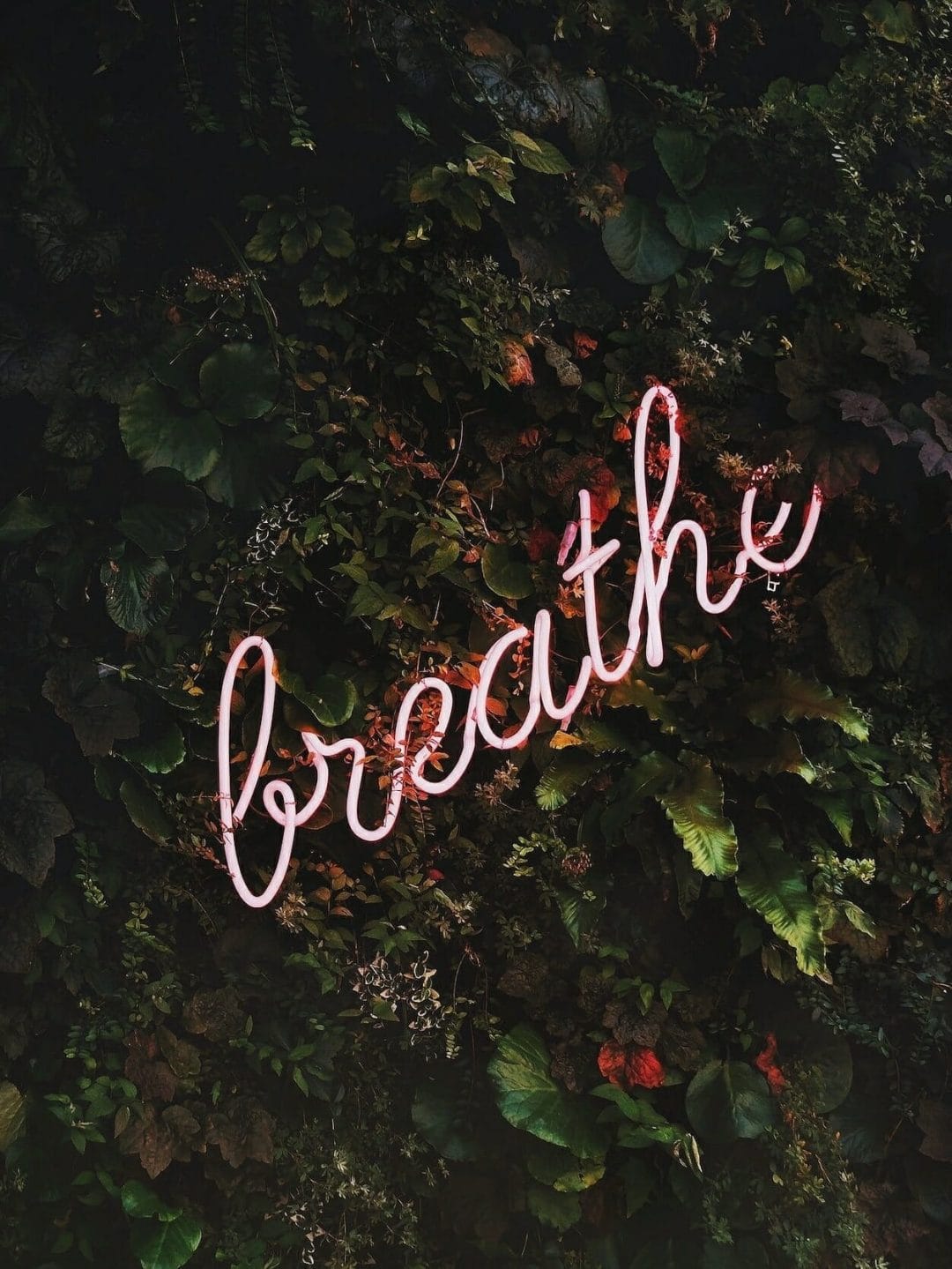 unsplash-image-vnpTRdmtQ30-2